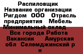 Распиловщик › Название организации ­ Ригдом, ООО › Отрасль предприятия ­ Мебель › Минимальный оклад ­ 1 - Все города Работа » Вакансии   . Амурская обл.,Селемджинский р-н